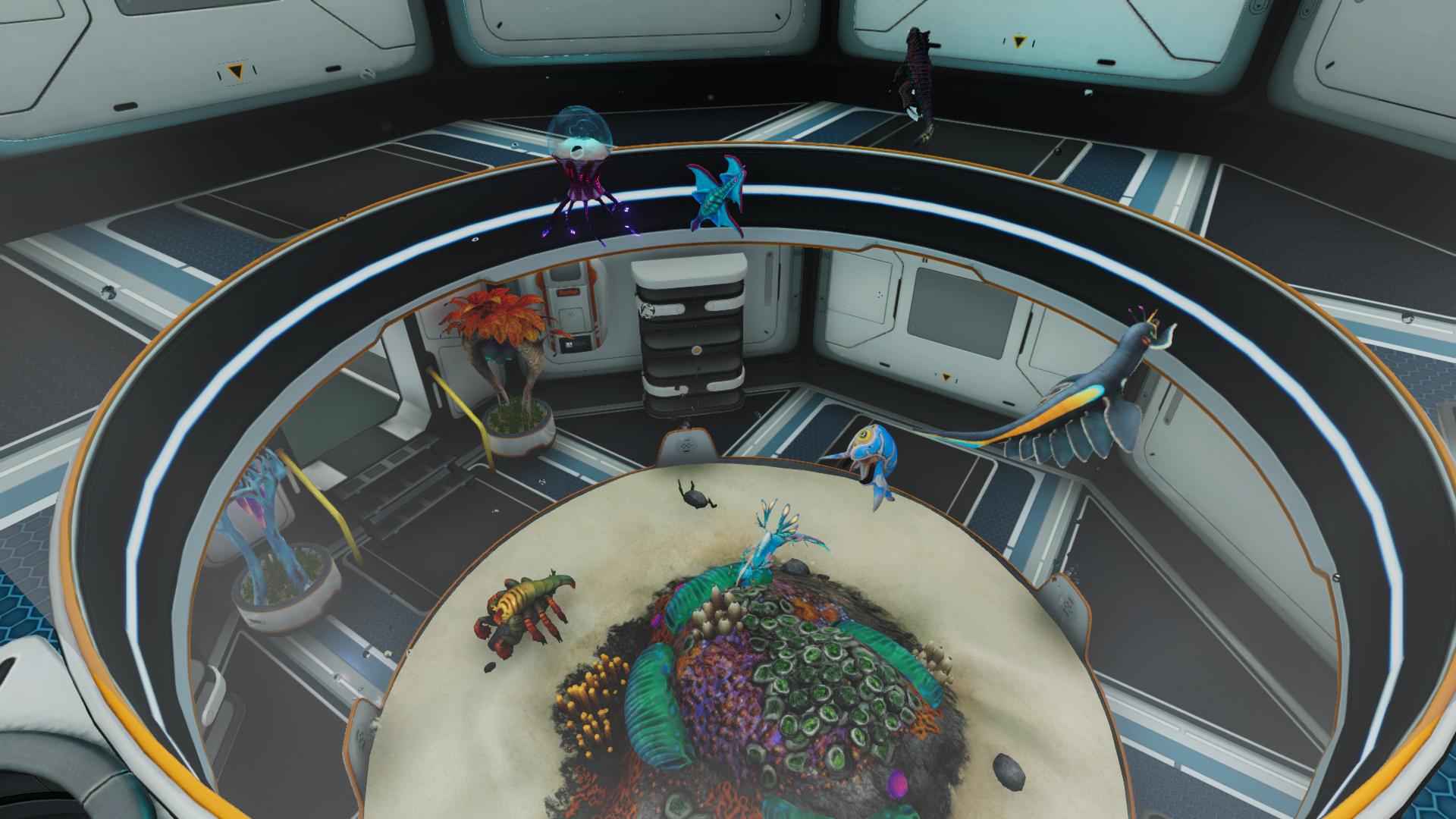 Subnautica Below Zeroの拠点に設置した大型水槽を上から撮影した画面。砂地や色鮮やかな植物の周囲を複数の海洋生物が泳いでいる