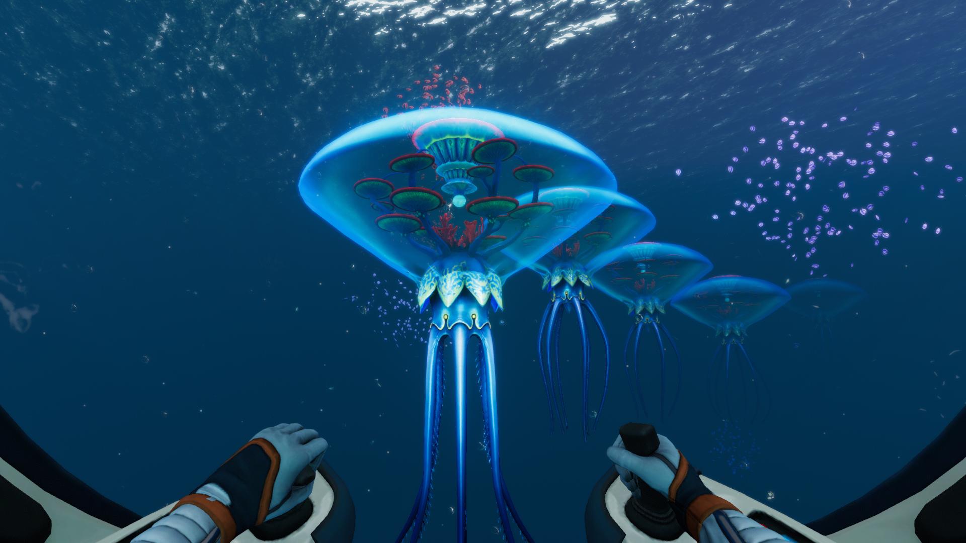 Subnautica Below Zeroの海中に複数集まるヴェントガーデンの幼体と透明感のある傘状の体